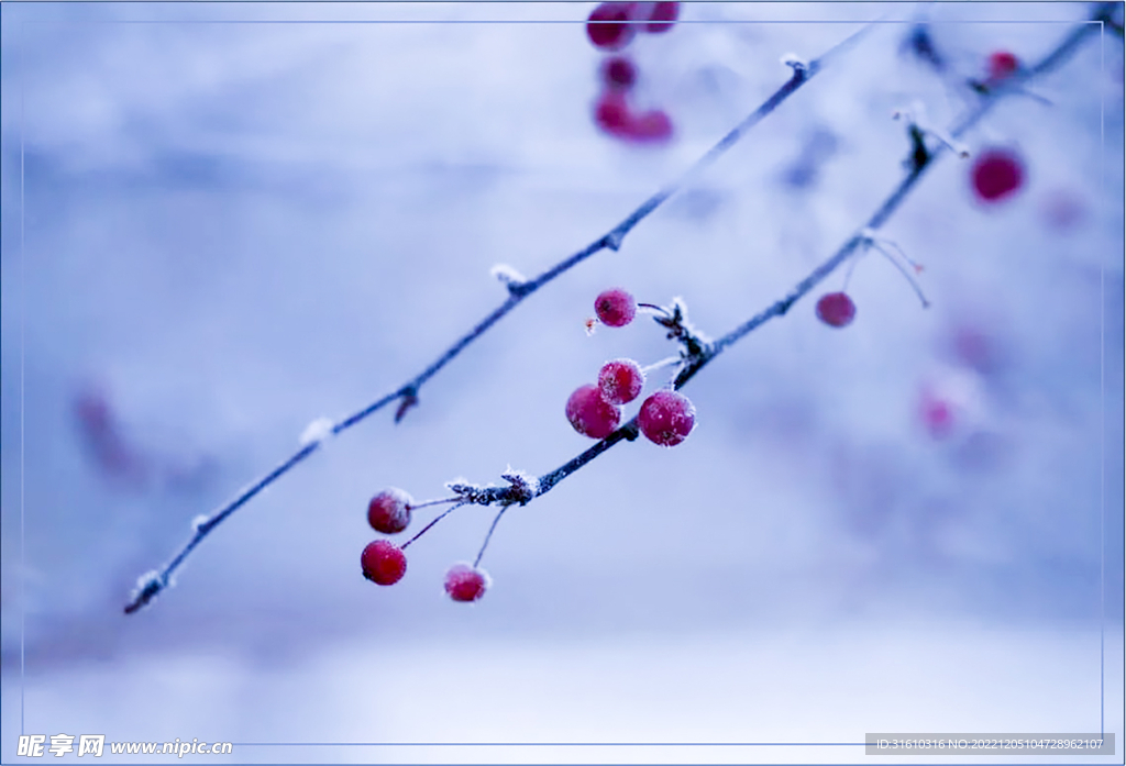 冬季雪景