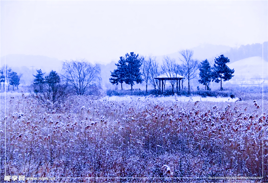 冬季雪景