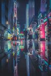 城市