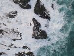 大海