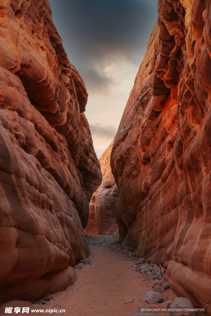 山
