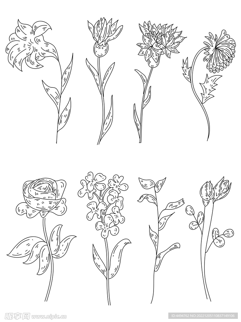 花植物手绘