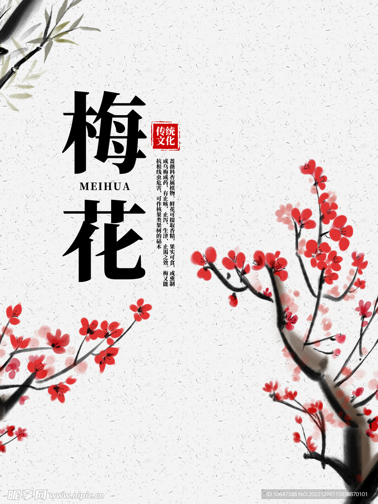 梅花