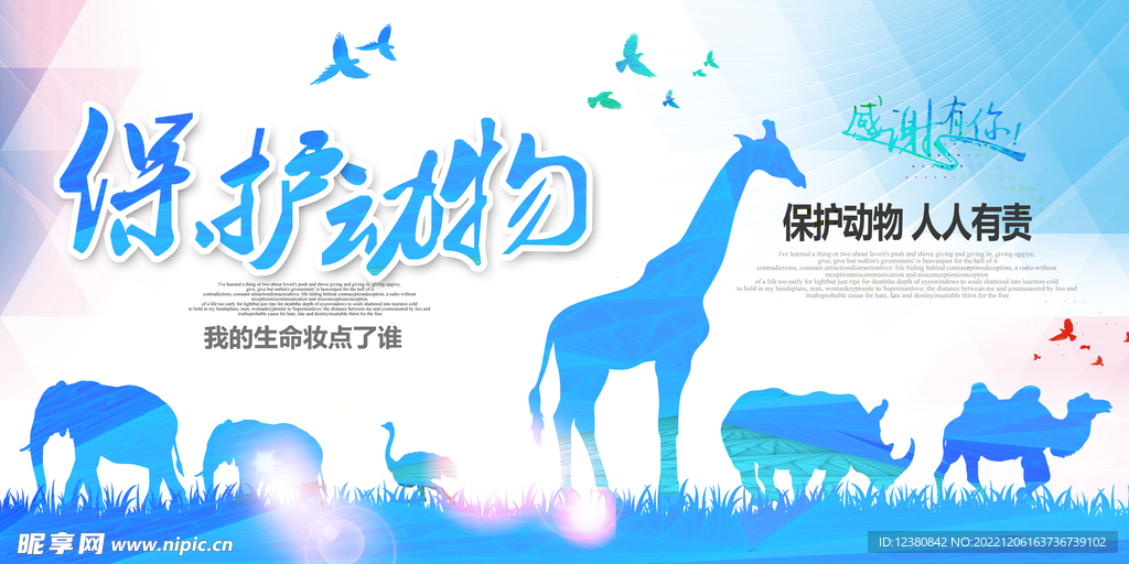 保护动物