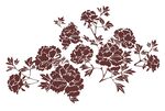 硅藻泥图菊花