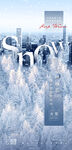 大雪海报