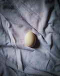 鸡蛋             