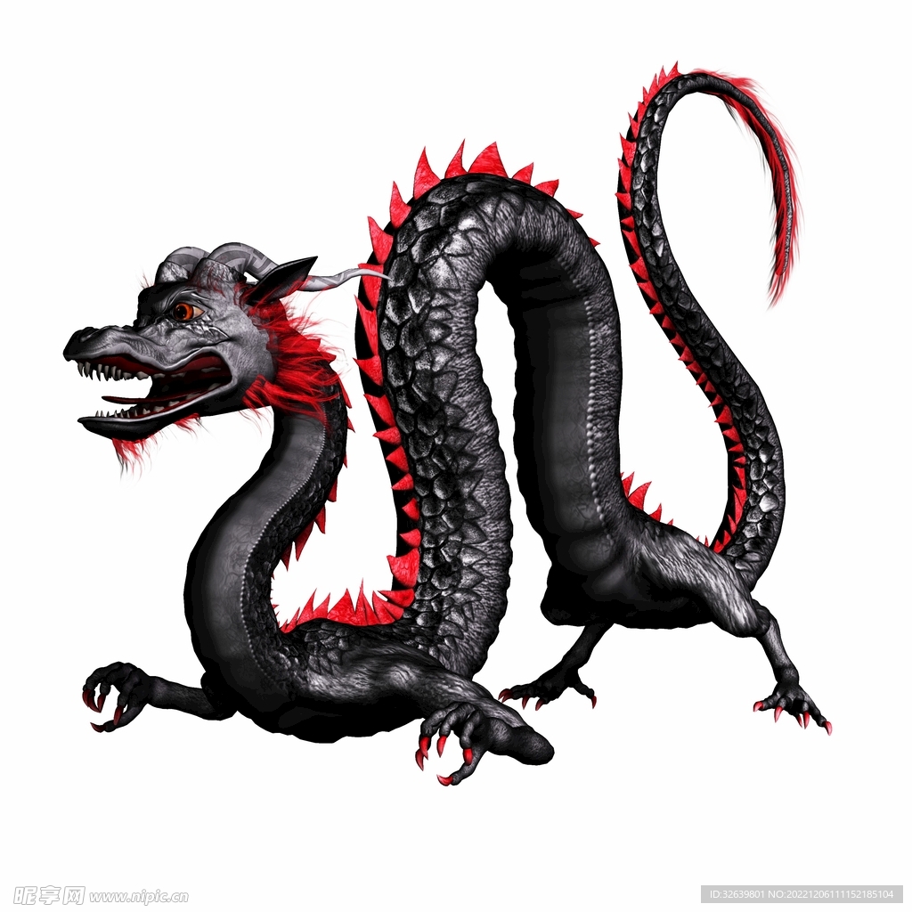 龙
