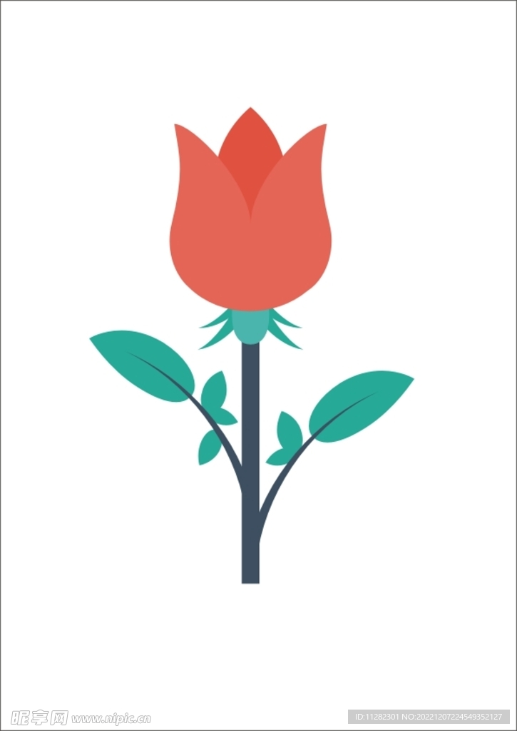 玫瑰花