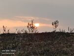 惠水断杉夕阳下的千峰林