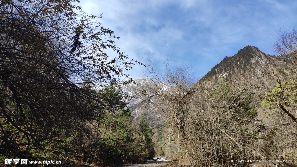 通往雪山