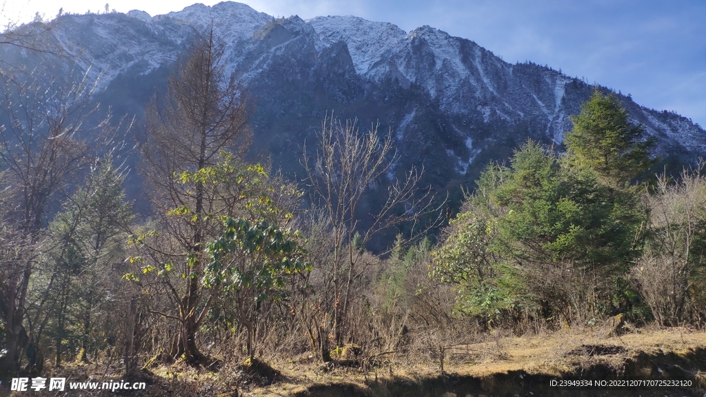 雪山