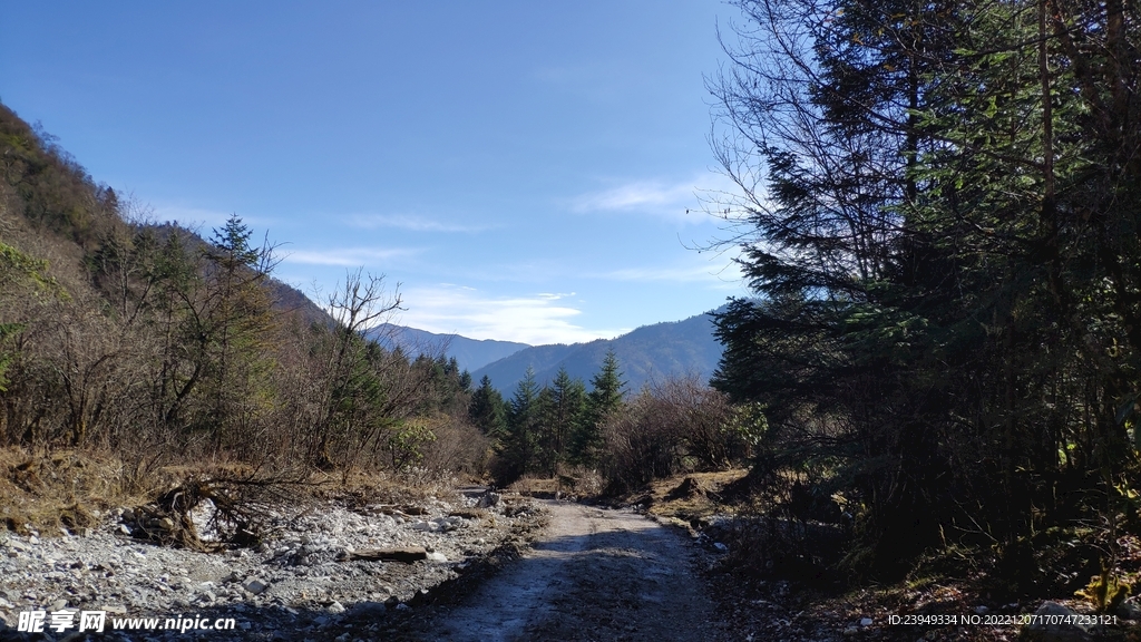 通往雪山