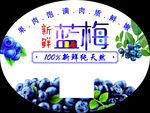 蓝莓