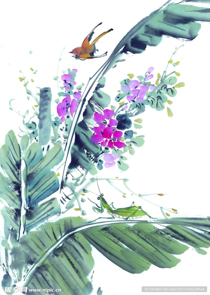 国画花鸟