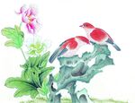 国画花鸟