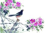喜鹊花鸟画