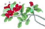 花鸟国画