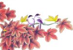 国画花鸟