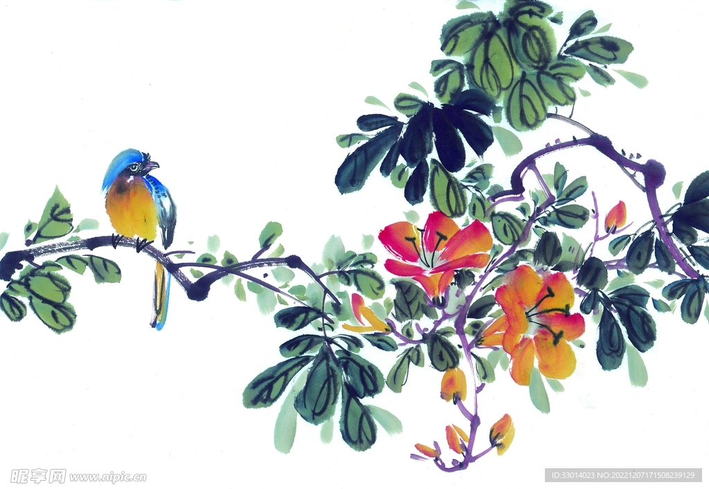 花鸟画