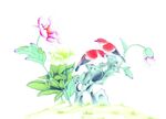 花鸟画插画
