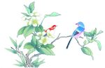 花鸟画