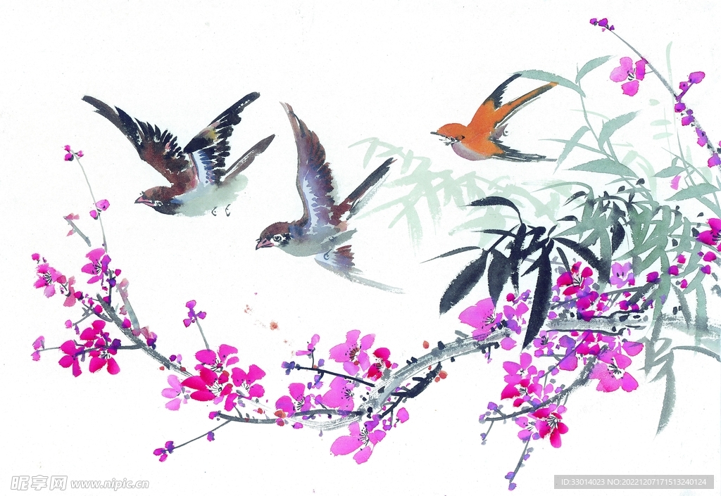 国画花鸟