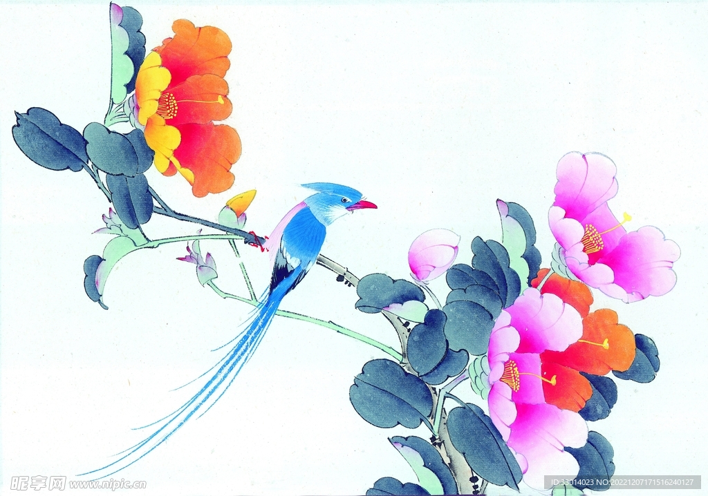 花鸟国画