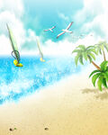 海鸥海边 飞机 椰子树