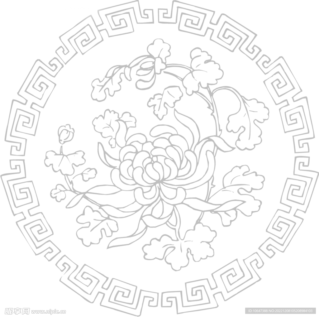 菊花