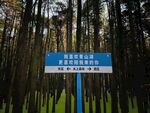 青山湖
