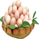 草鸡蛋