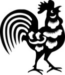 公鸡手绘