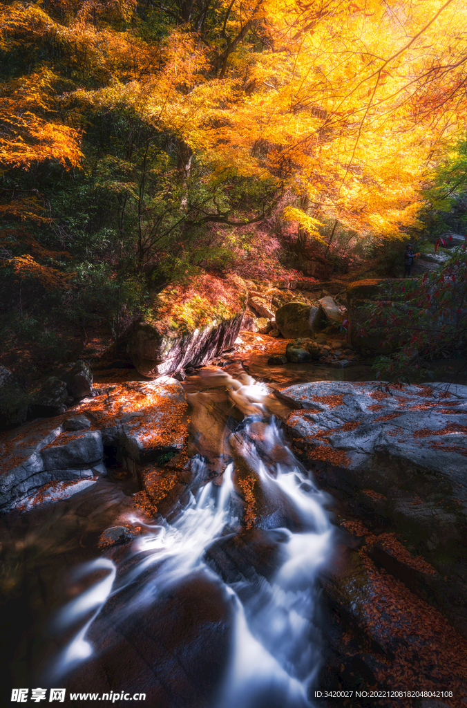 光雾山