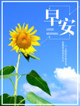 向日葵