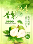 梨 香梨