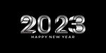 2023年字体 