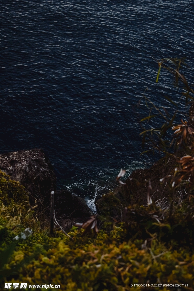  海湾