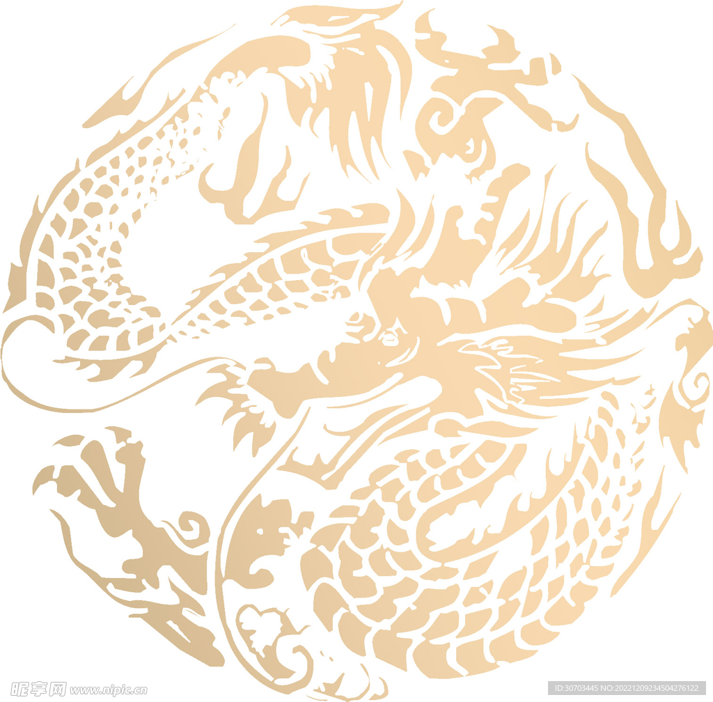 金色的龙