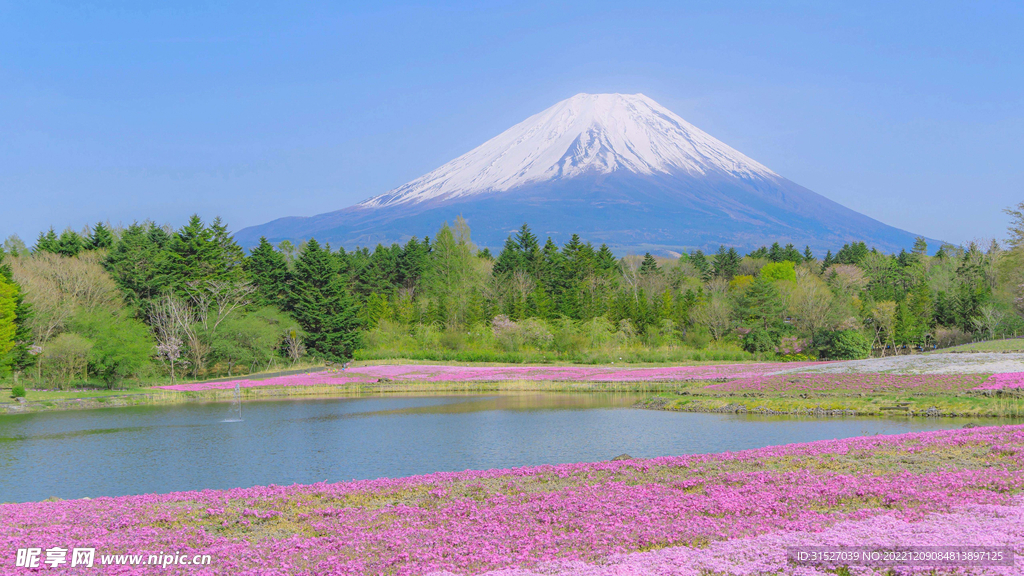 日本富士山摄影图片