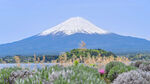 日本富士山摄影图片
