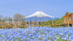 富士山旅游摄影