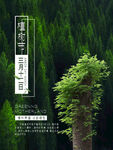 植树节海报