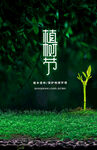 简约绿树植树节海报
