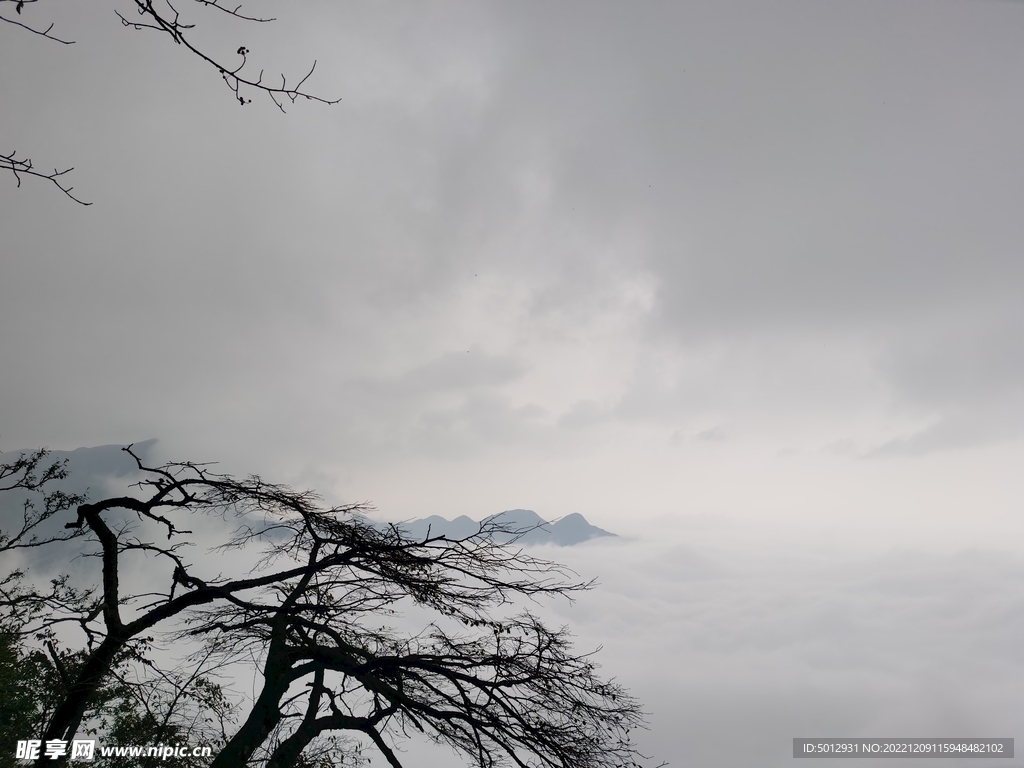 登山-迎客-望仙