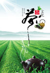 茶文化