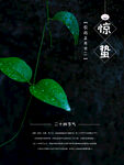 惊蛰生机海报