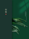 简约大气惊蛰海报