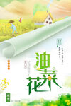 唯美创意油菜花海报