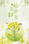 唯美油菜花海报